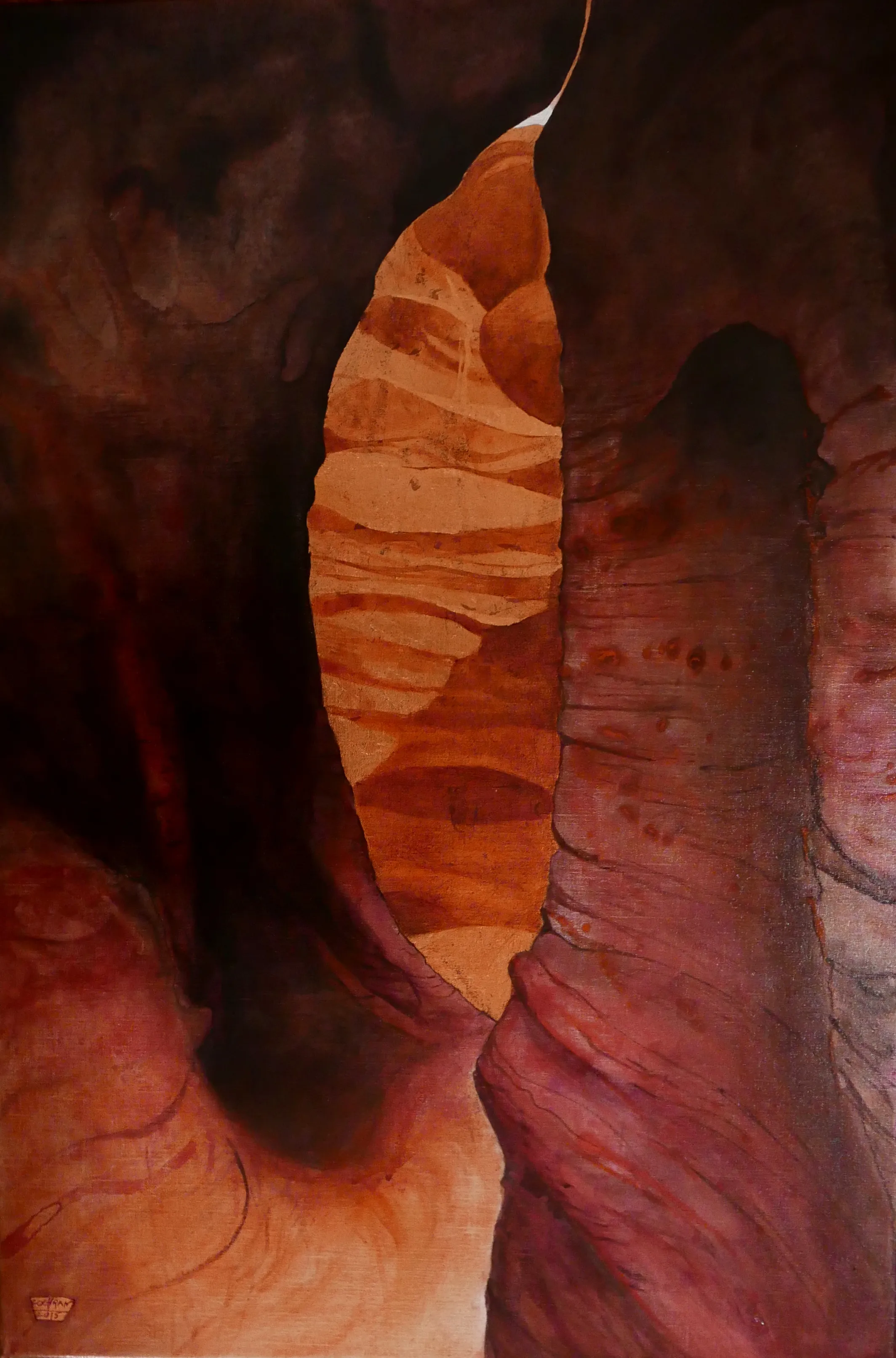 Canyon 1