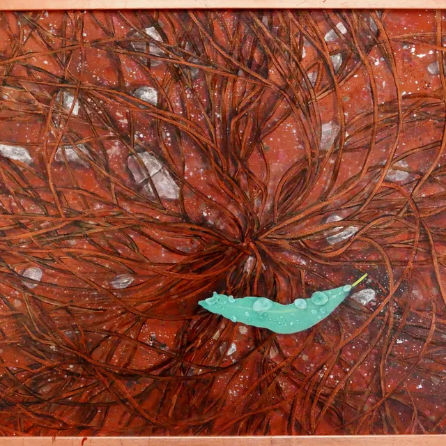 On Spinifex