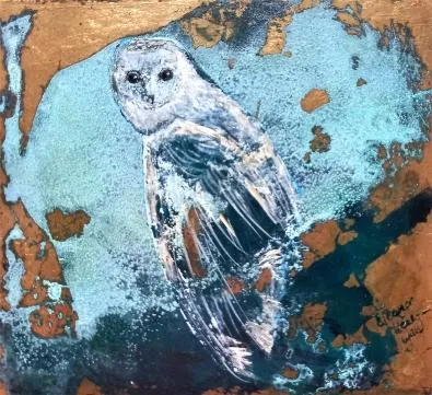 Barn Owl